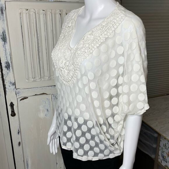 Alfani Off White Sheer Embroidered Neckline Pullover Blouse Top Size PM - Picture 5 of 12